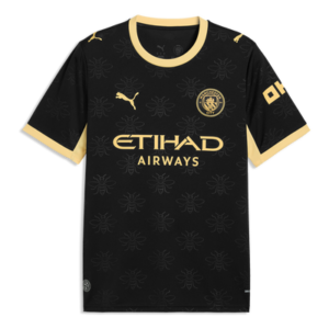 Manchester City - Fan